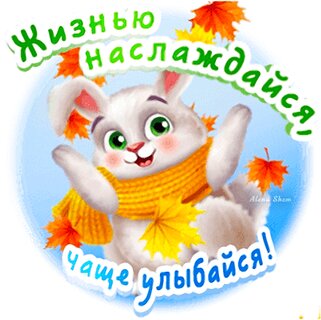 Открытка Улыбайся Чаще