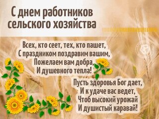 Купить Подарок на День рождения Набор печенья 