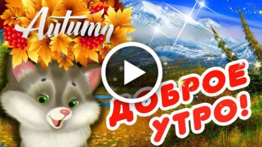 Доброе утро Любимая! Нежное пожелание доброго утра! Музыкальная видео открытка. — Video | VK