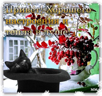 privet-xoroshego-nastroeniya-i-tepla-v-dushe.jpg?z=319