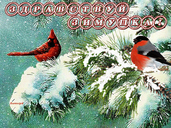 Анимированная открытка Здравствуй зимушка!