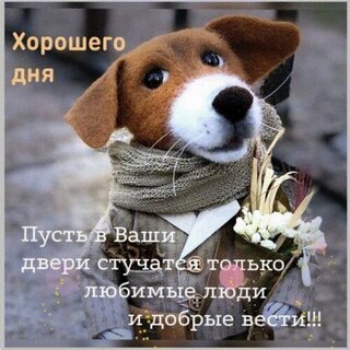 xoroshego-dnya-pust-v-vashi-dveri-stuchatsya-tolko-lyubimye-lyudi-i-dobryj-vesti.jpg?z=264