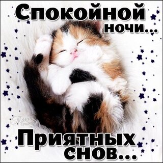 Споки ноки: прикольные картинки (ТОП 100)