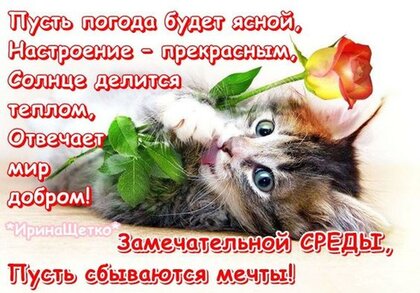 zamechatelnoj-sredy-pust-sbyvayutsya-mechty.jpg?z=118