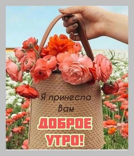 ya-prinesla-vam-dobroe-utro.jpg?z=36