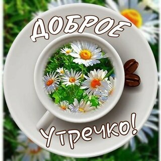 Открытки и картинки с добрым утром