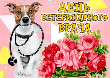 С днем ветеринара! Красивые поздравления в стихах и открытках