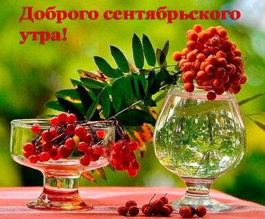 dobrogo-sentyabrskogo-utra.jpg?z=243