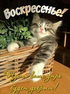 voskresene-pust-vashe-utro-budet-dobrym.jpg?z=80