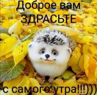 Подарки – это ОК | Group on OK | Join, read, and chat on OK!