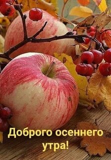 dobrogo-osennego-utra.jpg?z=294