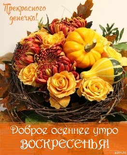 dobroe-osennee-utro.jpg?z=291