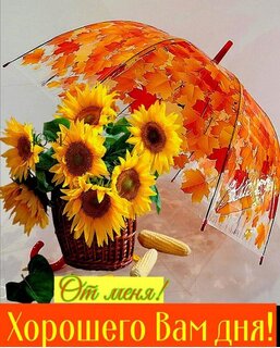 ot-menya-xoroshego-dnya.jpg?z=293
