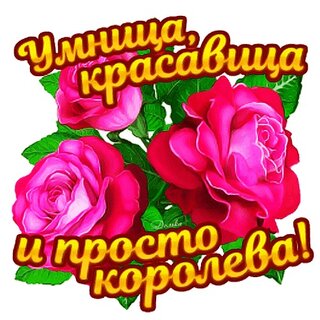 Открытка 