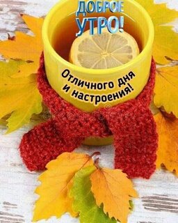 dobroe-utro-otlichnogo-dnya-i-nastroeniya.jpg?z=274