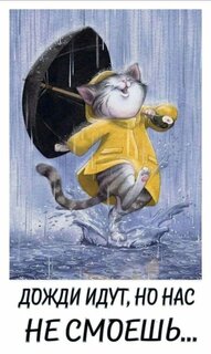 dozhdi-idut-no-nas-ne-smoesh.jpg?z=330