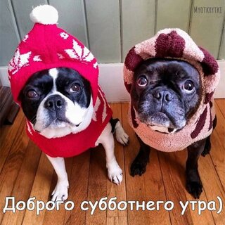 dobrogo-subbotnego-utra.jpg?z=297