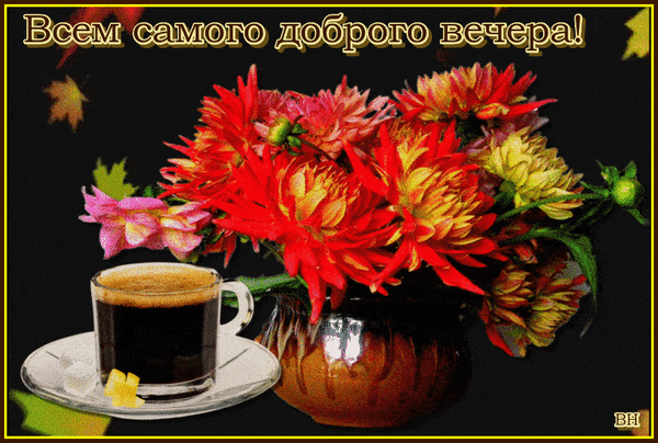 Анимированная открытка Самого доброго вечера!