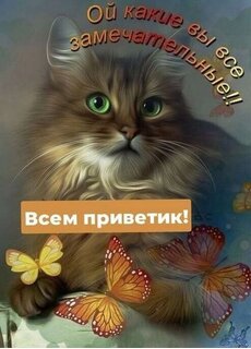 vsem-privetik.jpg?z=55