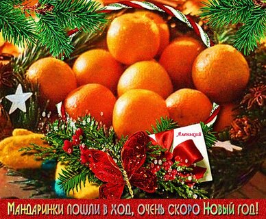 Free illustrations and vector art: New Year's card of mandarin orange and cow