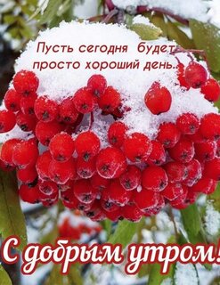 С днём конституции — картинки, поздравления с праздником на 12 декабря 2023