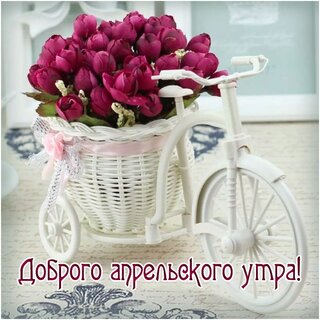 dobrogo-aprelskogo-utra.jpg?z=119