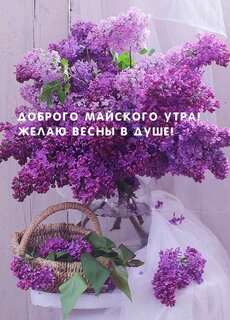 dobrogo-majskogo-utra-zhelayu-vesny-v-dushe.jpg?z=121