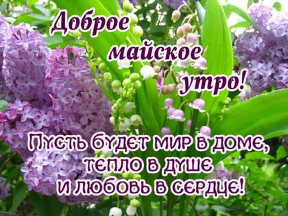 dobroe-majskoe-utro.jpg?z=122