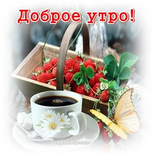 dobroe-utro.jpg?z=166