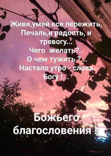 Живя умей все пережить печаль и радость и тревогу схема предложения