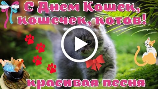 Открытка С Котом