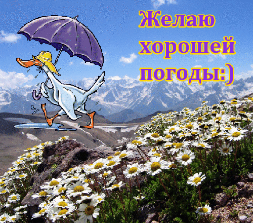 Анимированная открытка Желаю хорошей погоды:)