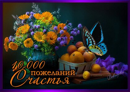 Поиск : хорошего дня (1 000)