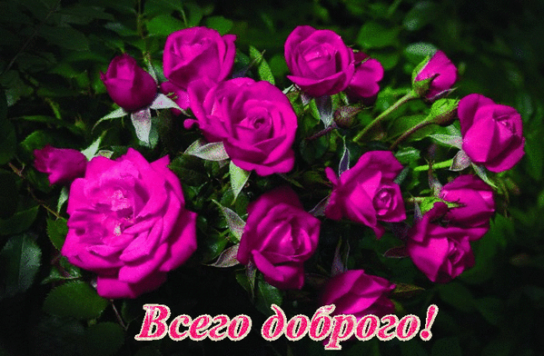 Анимированная открытка Всего доброго!