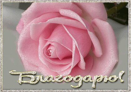Открытки со словами искренней благодарности. Благодарю сердечно.