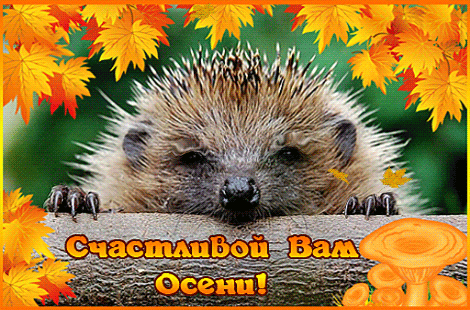 Анимированная открытка Счастливой Вам Осени!