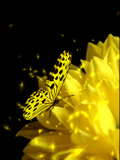 Анимированная открытка Бабочка фэнтези цветы гиф