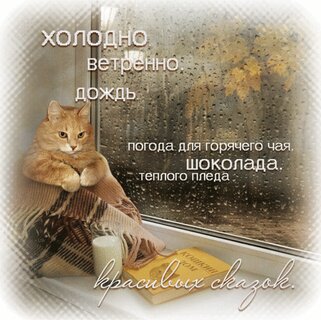 xolodno-vetrenno-dozhd-pogoda-dlya-goryachego-chaya-shokolada.jpg?z=316