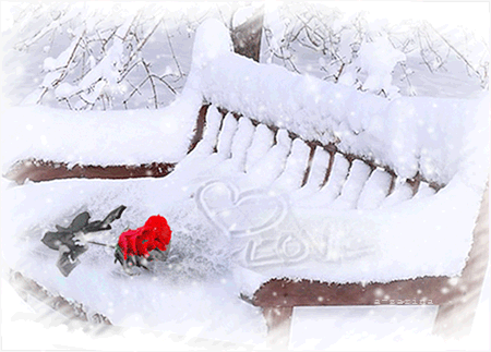 Открытка Love розы на снегу анимация
