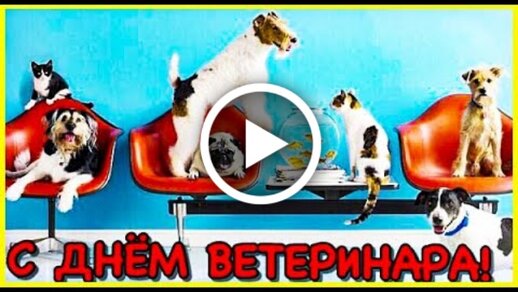 Коллектив «Ветеринарии и жизни» поздравляет с Днем ветеринарного работника! | Ветеринария и жизнь