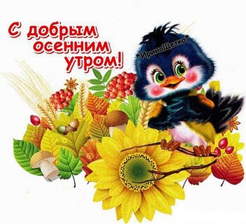 s-dobrym-osennim-utrom.jpg?z=245