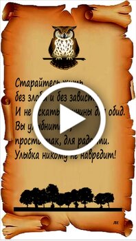 Цитаты для открыток | Мир Елизаветы Дворецкой | VK