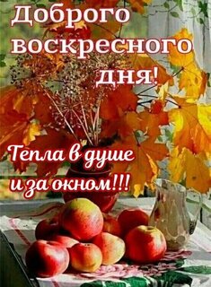 dobrogo-voskresnogo-dnya.jpg?z=305