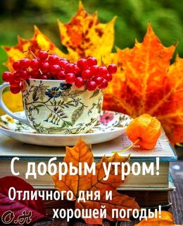 s-dobrym-utrom.jpg?z=282