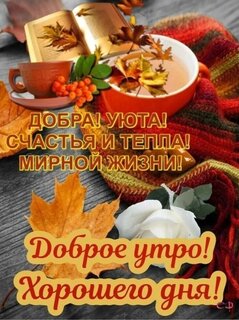 dobroe-utro-dobra-uyuta-schastya-i-tepla.jpg?z=157