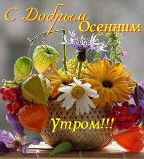 s-dobrym-osennim-utrom.jpg?z=292