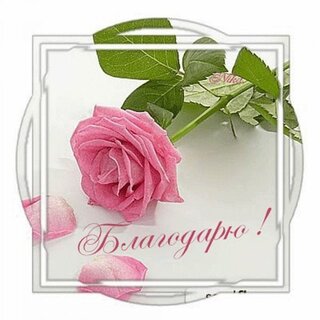 Открытки со словами искренней благодарности. Благодарю сердечно.