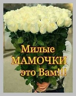 milye-mamochki-eto-vam.jpg?z=333