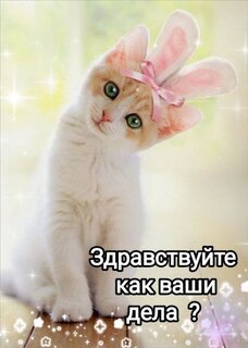 zdravstvujte-kak-vashi-dela.jpg?z=63