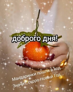 dobryj-den.jpg?z=347